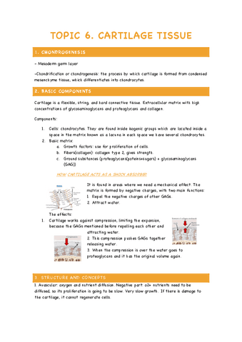 TOPIC-6-Cartilge-tissue.pdf