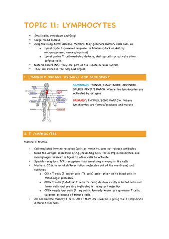 TOPIC 11- Lymphocytes.pdf