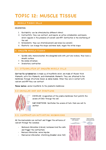 TOPIC-12-Muscle-tissue.pdf