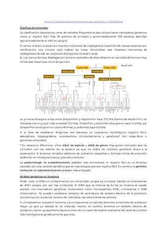 Tema4.pdf