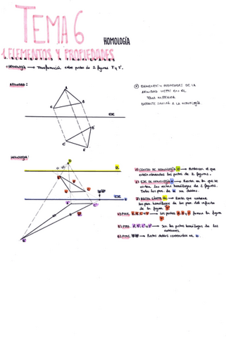 Tema-6.-Homologia.pdf