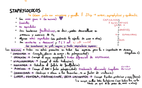 Bacterias-Microbiologia.pdf