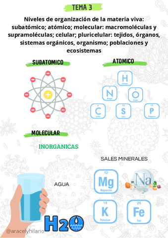 TEMA-3-NIVELES-DE-ORGANIZACION-DE-LA-MATERIA-VIVA.pdf