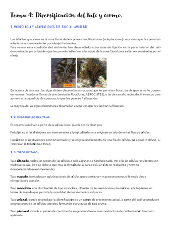 Tema-4.pdf