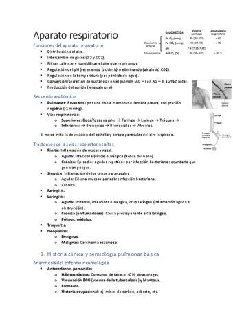 Apuntes-sistema-respiratorio.pdf