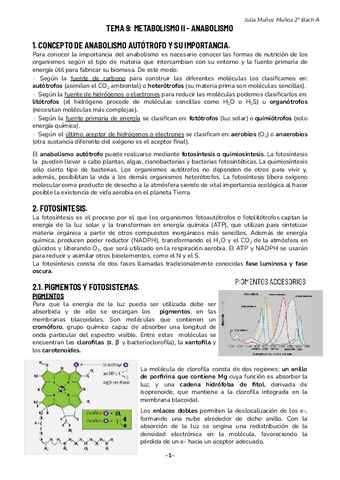 Tema-9-Anabolismo--Biologia..pdf