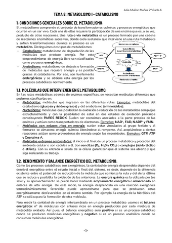 Tema-8-Catabolismo--Biologia..pdf