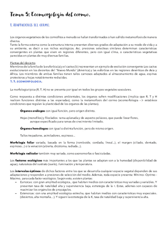 Tema-5.pdf