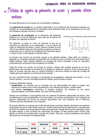 Tema-11-metodologia.pdf