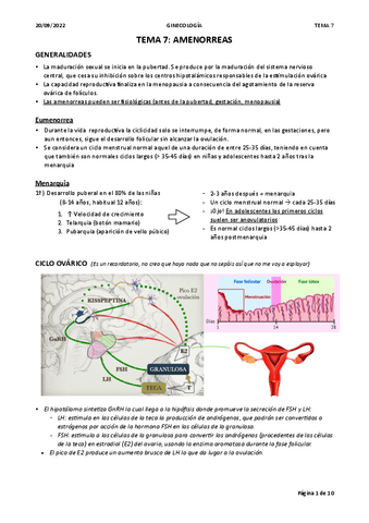 TEMA-7.-AMENORREAS.pdf