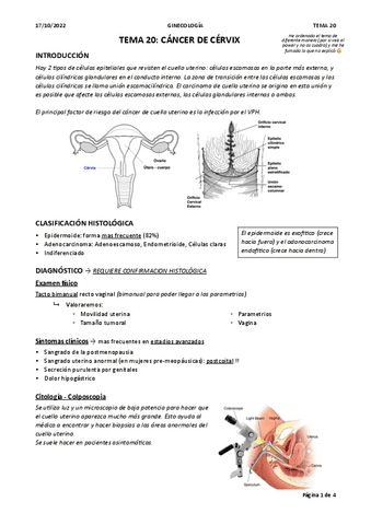 TEMA-20.-CANCER-DE-CERVIX.pdf