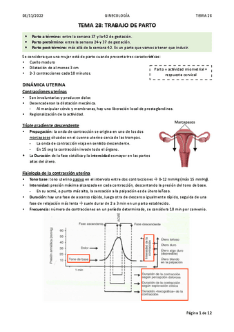 TEMA-28.-TRABAJO-DE-PARTO.pdf