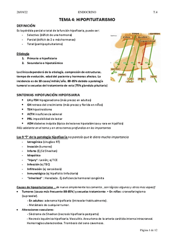 T4-HIPOCRECIMIENTO.pdf