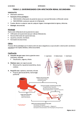 TEMA-5.1.-vasculitis.pdf