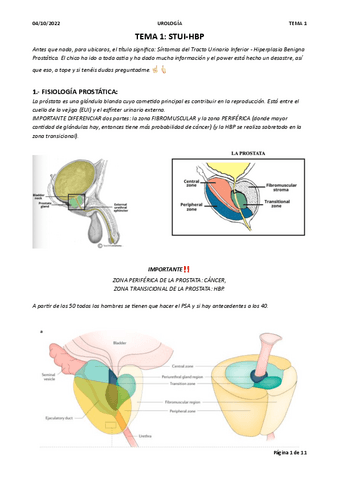 TEMA-1-UROLOGIA.pdf