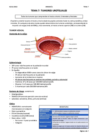 TEMA-7.-TUMORES-UROTELIALES.pdf
