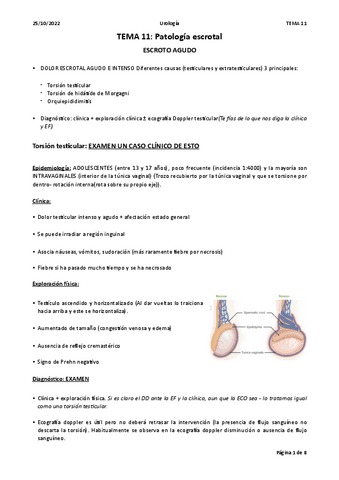 TEMA-11-UROLOGIA-TESTES.pdf