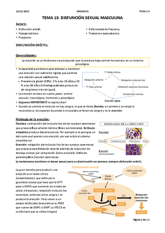TEMA-13-UROLOGIA.pdf
