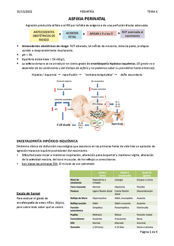 T6.-ASFIXIA-PERINATAL.pdf