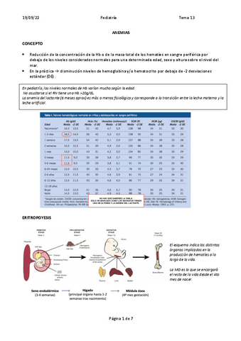 T13-ANEMIAS.pdf