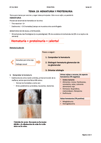 T19.-Hematuria-y-proteinuria.pdf
