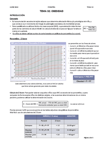 T32-OBESIDAD.pdf