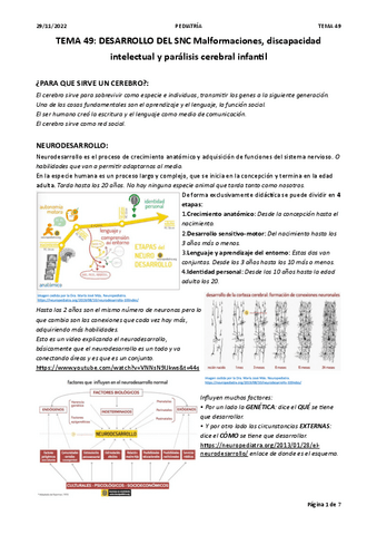 T49.-DESARROLLO-SNC.pdf