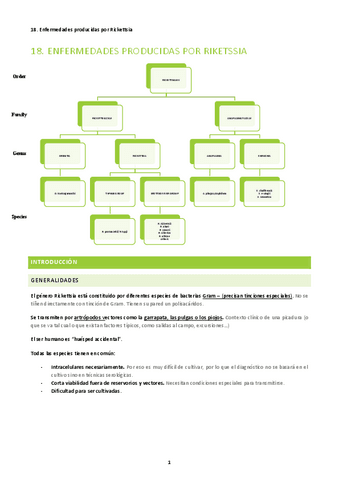 18.-Enfermedad-producida-por-ricketsias.pdf