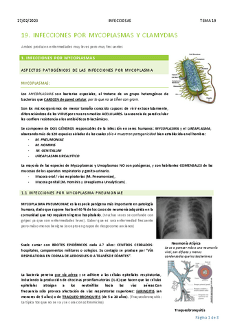 19.-Mycoplasma-y-clamidia.pdf