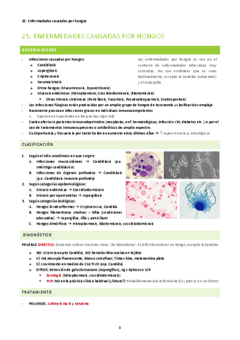 25.-Enfermedades-causadas-por-hongos.pdf