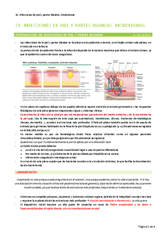 31.-Infecciones-de-piel-y-partes-blandas.-Mordeduras.pdf