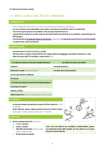 32.-Infecciones-del-tracto-urinario.pdf