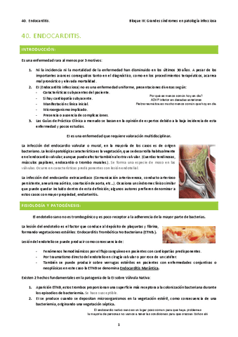 40.-Endocarditis.pdf