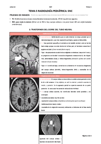 Tema-5-Rx-pediatrica-SNC.pdf