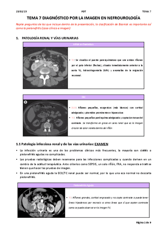 Tema-7.-Rx-Diax-por-imagen-Nefrouro.pdf