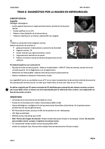 TEMA-8.pdf