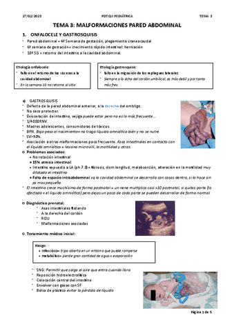 tema-3-malformaciones-pared-abdominal.pdf