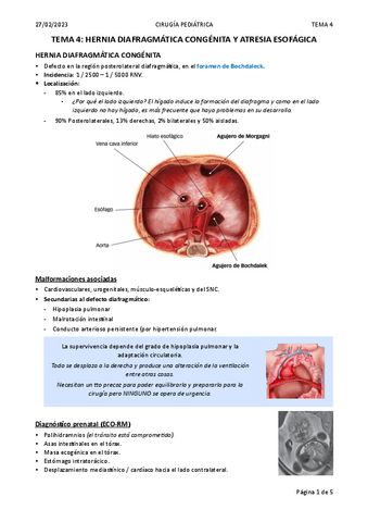 TEMA-4.-HERNIA-DIAFRAGMATICA-CONGENITA-Y-ATRESIA-ESOFAGICA.pdf