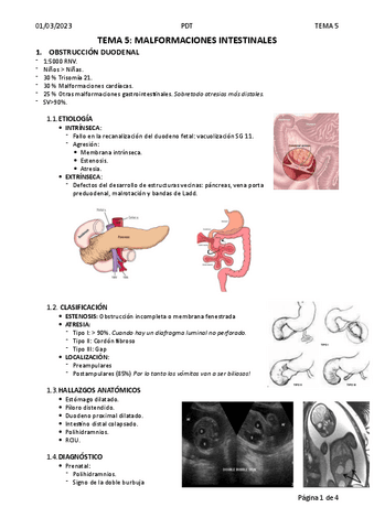 Tema-5-Malformaciones-intestinales.pdf