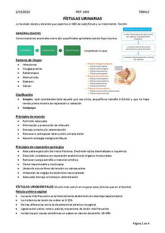 T2.-FISTULAS-URINARIAS.pdf