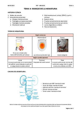 T4.-HEMATURIA.pdf