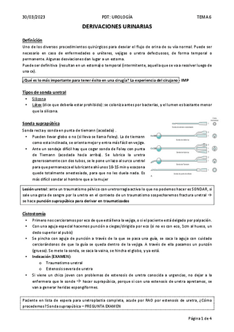 T6.-derivaciones-urinarias.pdf