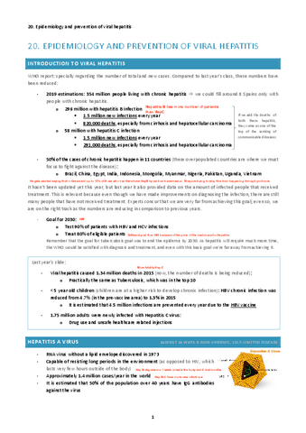 20.-epidemiology-and-prevention-of-viral-hepatitis.pdf