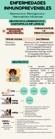 Neumococo-Meningococos-Hib.pdf