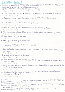 Ejercicios - tema 9.pdf