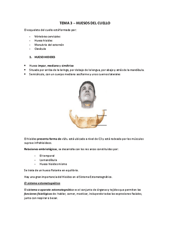 TEMA-3-CUELLO.pdf
