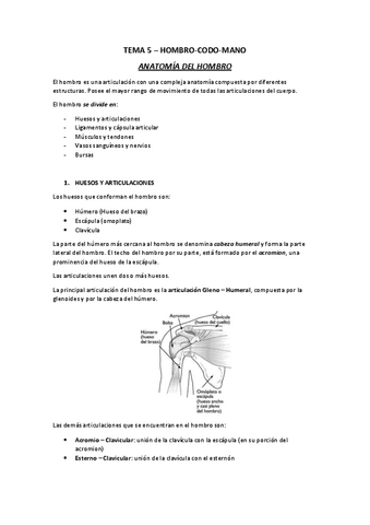 TEMA-5-HOMBRO-CODO-MANO.pdf