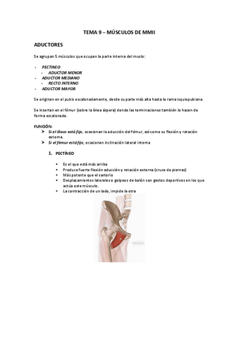 TEMA-9.pdf