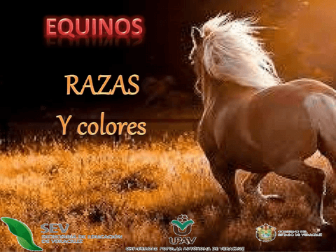 equinos.pdf
