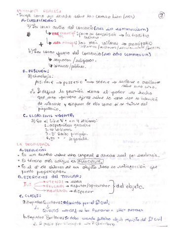 D.-REALES-APUNTES-DE-CLASES.pdf